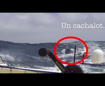 UFO zachyceno kamerou!