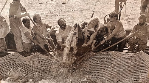 Favignana, plavba na Maltu a beznaděj na moři