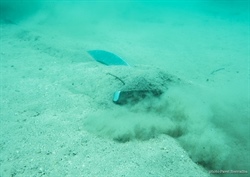 Proč pokládat ruku na kotevní řetěz