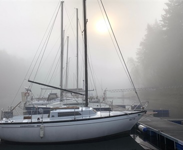 Strategie plavby mlze